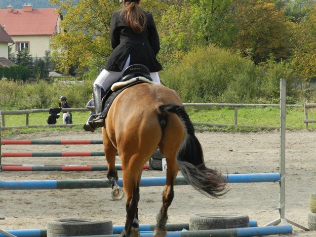 Babie Lato 2016
